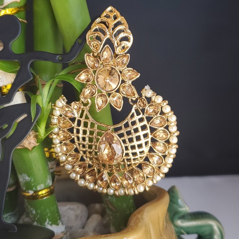 Fancy Earring - Picture 3 of 3